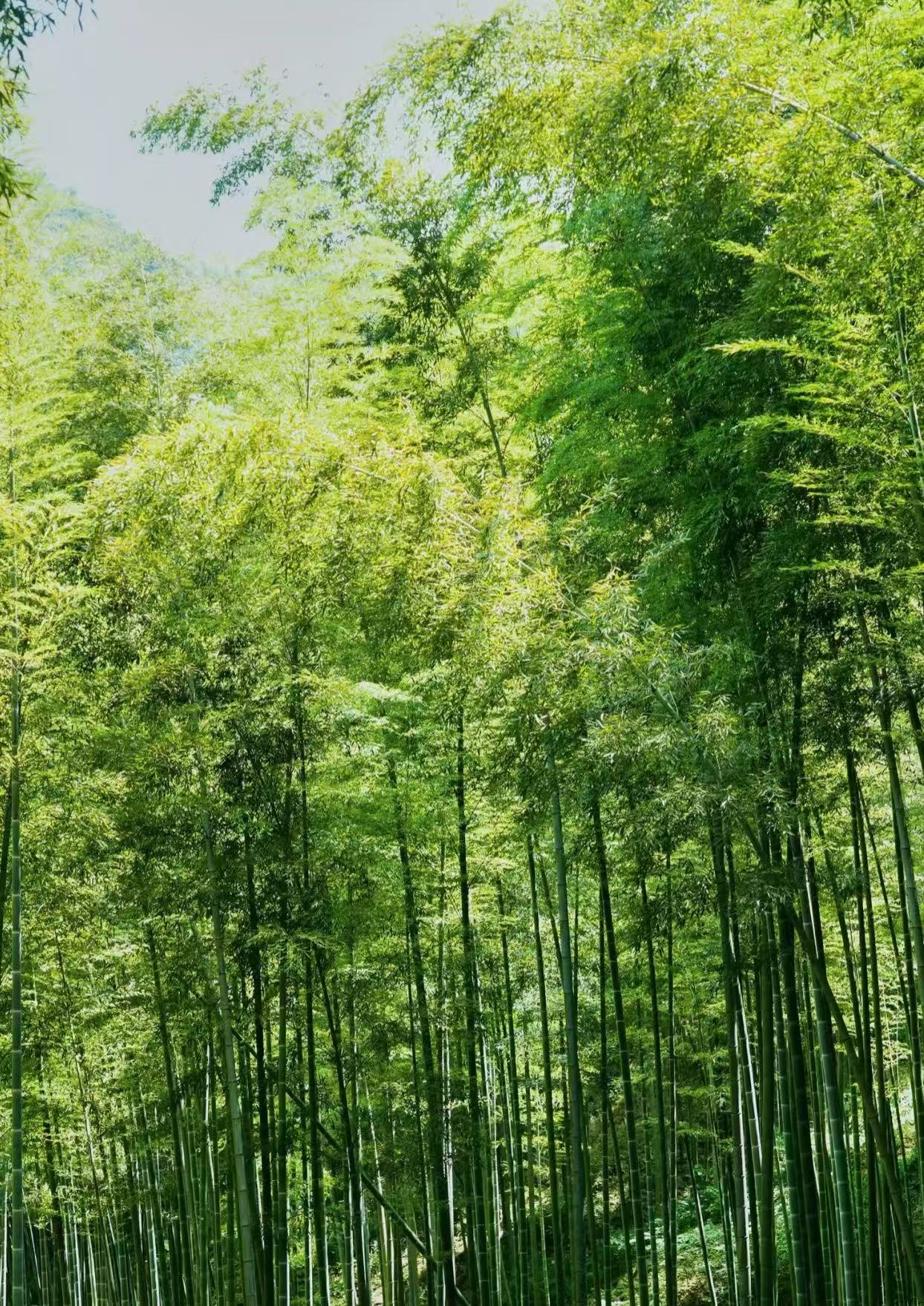 江苏小众旅游景点TOP10_江苏人文秘境旅游攻略_江苏旅游景点排行