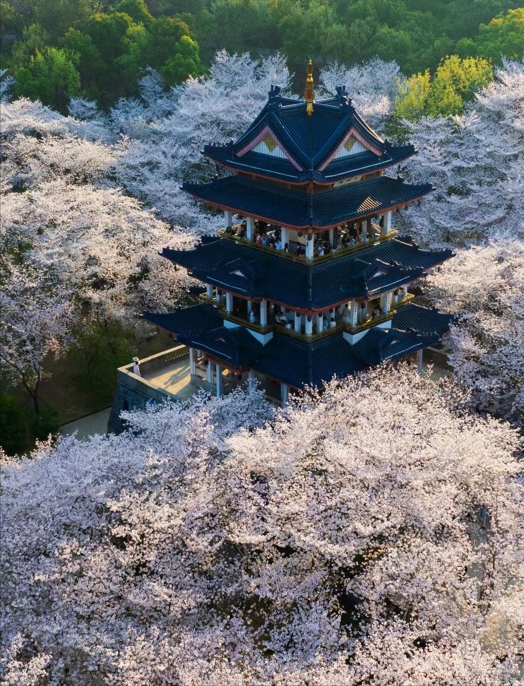 江苏旅游攻略_江苏必去景点推荐_江苏旅游景点排行