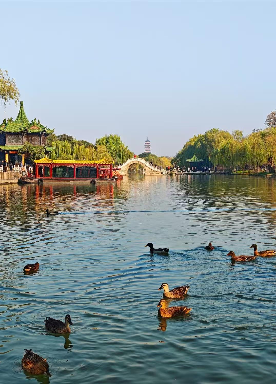 江苏旅游景点排行_江苏旅游攻略_江苏必去景点推荐