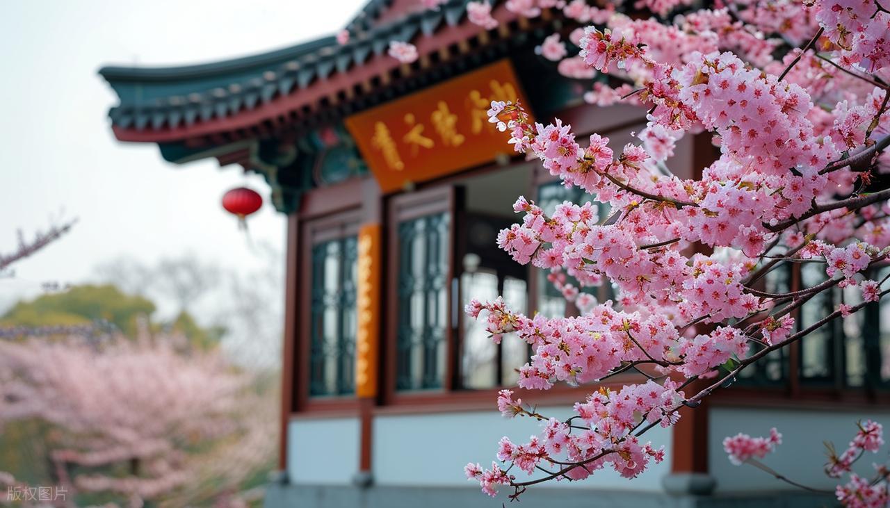 苏州古典园林特色_江苏旅游景点排行_江苏5A级景区推荐
