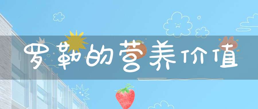罗勒精油去粉刺 低热量不胖人