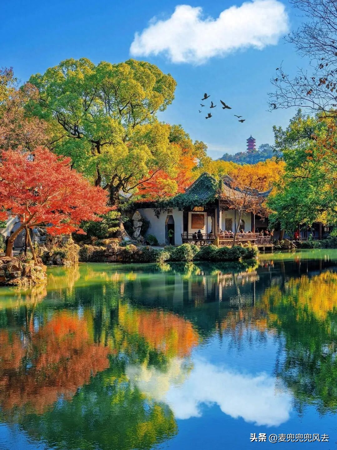 江苏旅游5A景区名单来了！水韵江苏，领略别样江南风情