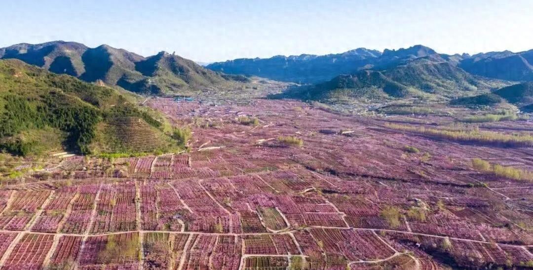 平谷的旅游景点大全_平谷区旅游攻略_平谷桃花海景点推荐