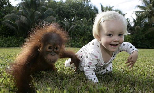 谢贤官宣与张柏芝关系 谢贤官宣与张柏芝关系