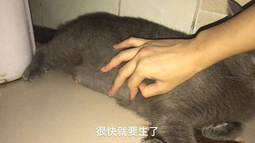 宝宝突然不吃奶粉怎么办