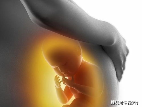人流后可以吃黄皮吗 葫芦岛做人流手术医院哪家好