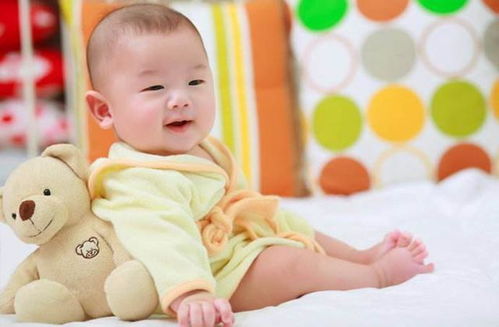 人流手术后可以吃李子吗 承德做人流手术医院哪个好