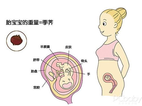 亲爱的客栈什么时候播