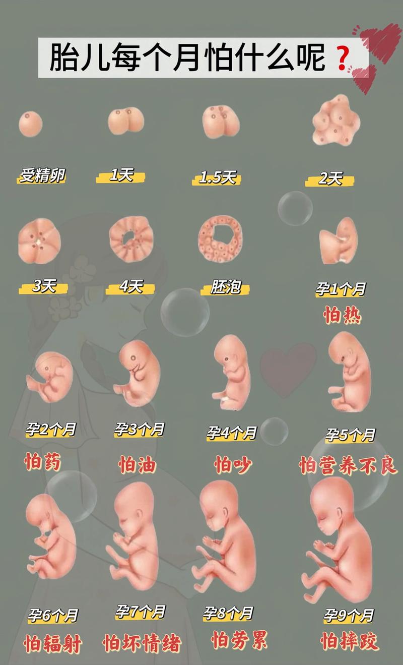 孕妇牙齿摇动并且痛怎么办 孕妇牙齿摇动并且痛怎么办