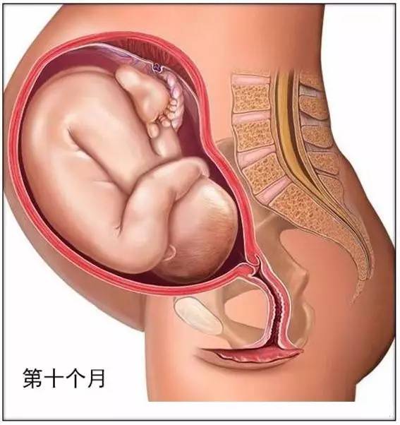 患宫外孕 可以做人流吗