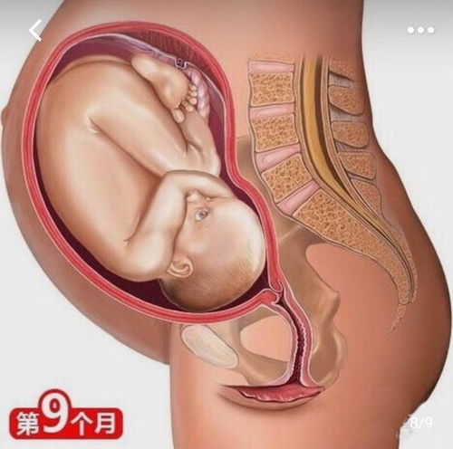 江门做无痛人流手术专业的医院
