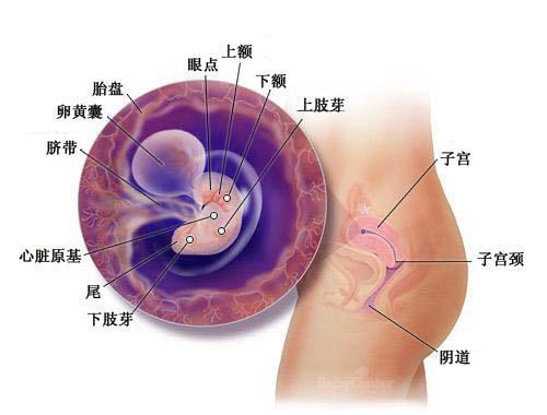 深圳做人流手术到哪家医院好 做人流手术是越早越好吗