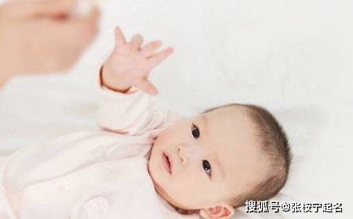 陶虹个人资料花样游泳