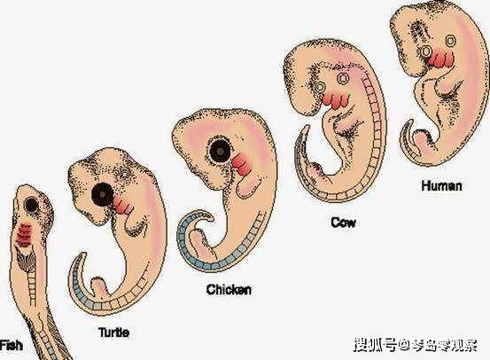 盐城哪家医院做人流手术好