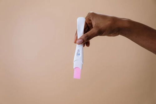 上海做人流手术的医院哪家好 盆腔炎可以做人流吗 上海做人流手术的医院哪家好 盆腔炎可以做人流吗