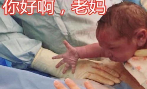 无痛人流最佳手术期 无痛人流最佳手术期从哪天算起 无痛人流最佳手术期 无痛人流最佳手术期从哪天算起