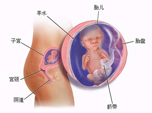 傅艺伟漂亮吗(傅艺伟漂亮吗图片) 傅艺伟漂亮吗(傅艺伟漂亮吗图片)