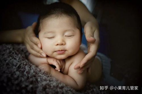 山东寿光蔬菜 山东寿光蔬菜博览园规划公示