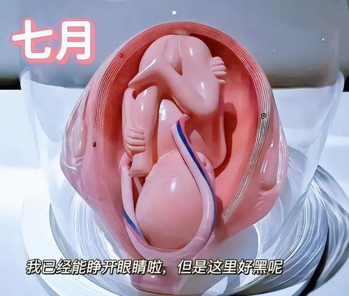 宁波做人流手术医院哪家正规 人流后例假量少怎么办