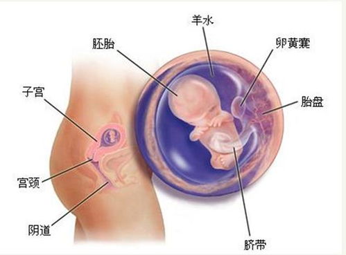 人流后要警惕四个并发症 人流后要警惕四个并发症