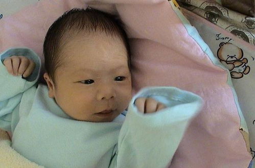 知耻而后勇的图片（知耻而后勇）