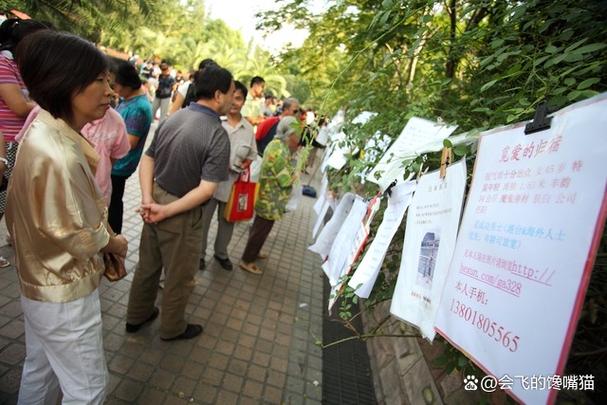 数学书六下答案（6下数学书答案）