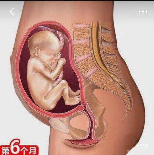 做完人流多久可以健身 武汉较好的做人流手术医院 做完人流多久可以健身 武汉较好的做人流手术医院