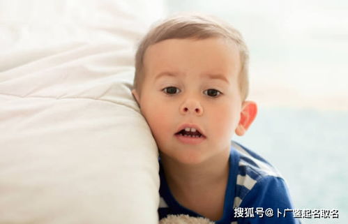 属猪人流年运势（属猪流年运程2025分析大全）