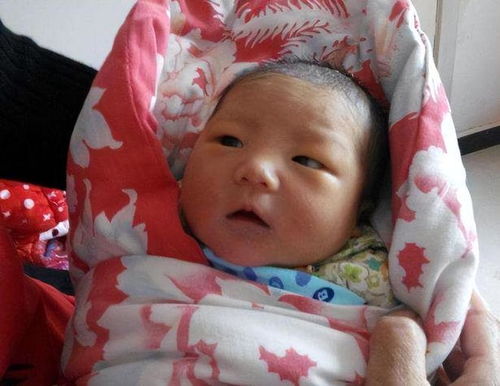 全职高手女主男主（全职高手女主角是谁）