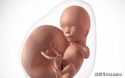 药流结束后血要流多久