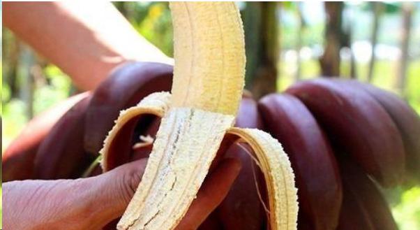 广州做人流手术正规医院 无痛人流后出血