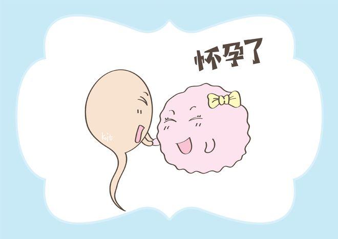 邢台非物质文化遗产：梅花拳