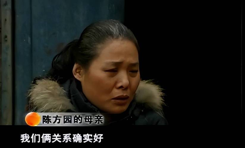 蔡卓妍参加的综艺节目