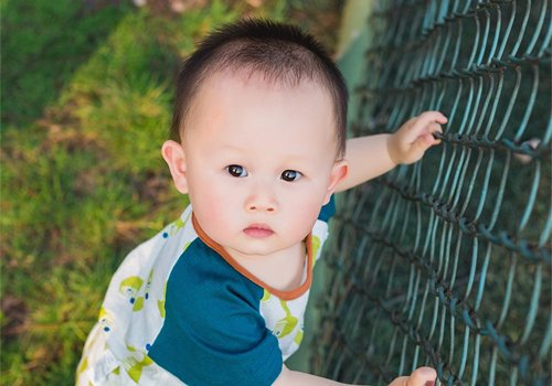 泡菜坛子里长白花是什么原因-怎么消除-（泡菜坛里起白花怎么办）