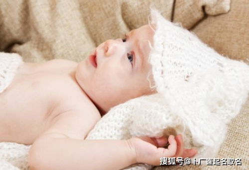 塔吊证件查询官网（塔吊365证件查询）