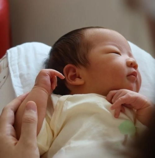商丘哪些医院做无痛人流手术 商丘哪些医院做无痛人流手术