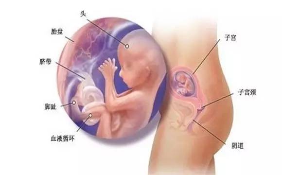 深圳哪家做人流手术医院好