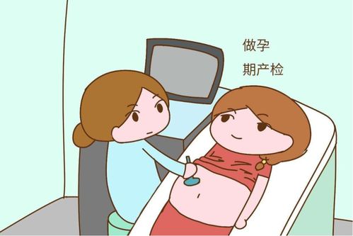 南传佛教和北传佛教有哪些本质区别