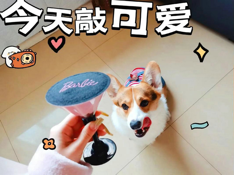 好女人旺三代下句是什么意思（好女人）