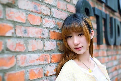 苏鲁锭战旗 蒙古民族的吉祥物