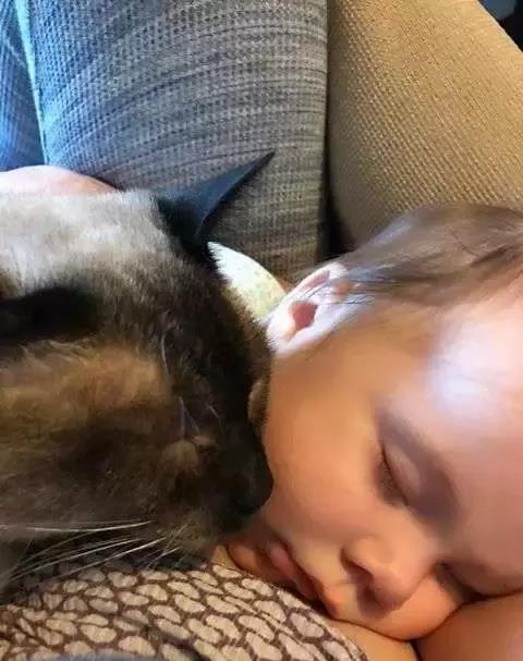 铁岭哪家医院能做人流手术 人流手术在哪个时间段做 铁岭哪家医院能做人流手术 人流手术在哪个时间段做