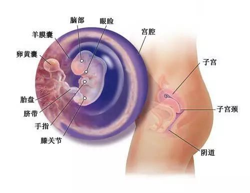 打人流后多久来月经 打人流后多久可以同房