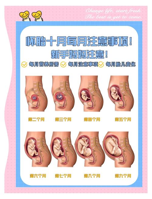 全时四驱什么意思（全时四驱）