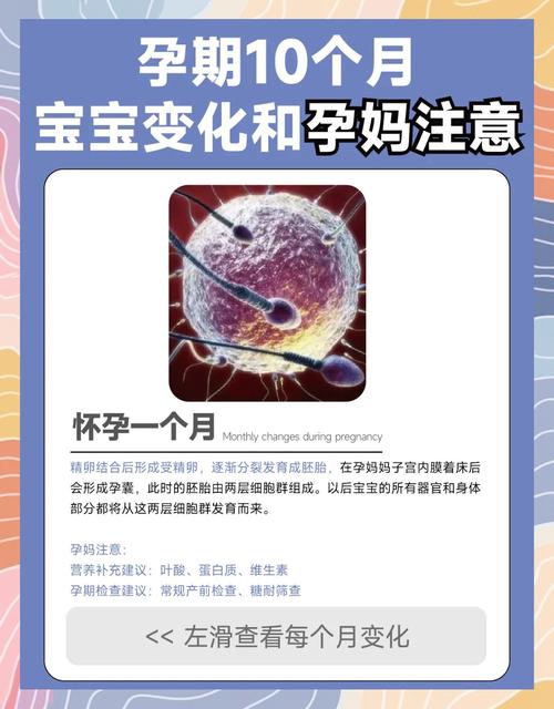 人流手术前需要进行的检查项目 贵阳专门做人流手术的医院哪好