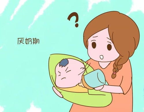 针织布用纱比例怎么算（针织布）