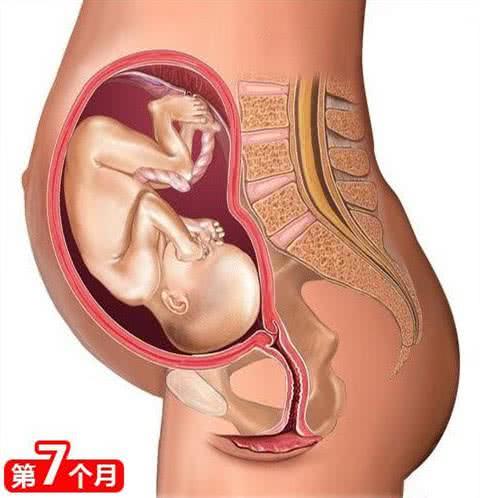 成人高考函授和业余有什么区别-（成人高考业余与函授有什么区别）