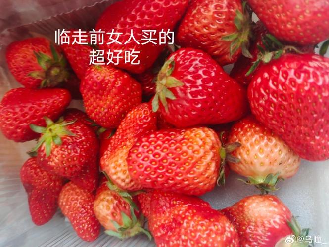 沈阳专门做人流手术医院哪里好 人流会留下什么后遗症 沈阳专门做人流手术医院哪里好 人流会留下什么后遗症