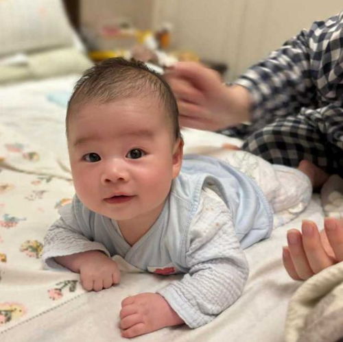 刘銮雄和许晋亨谁有钱