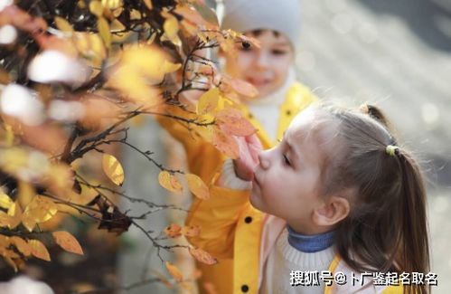 日喀则做无痛人流手术做好的妇科医院 人流后一般多久来月经