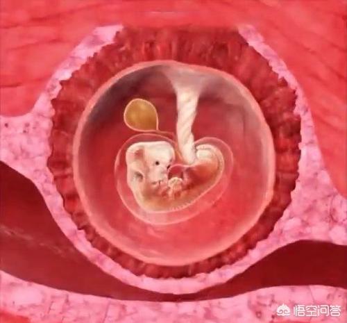 呼和浩特做人流手术的医院